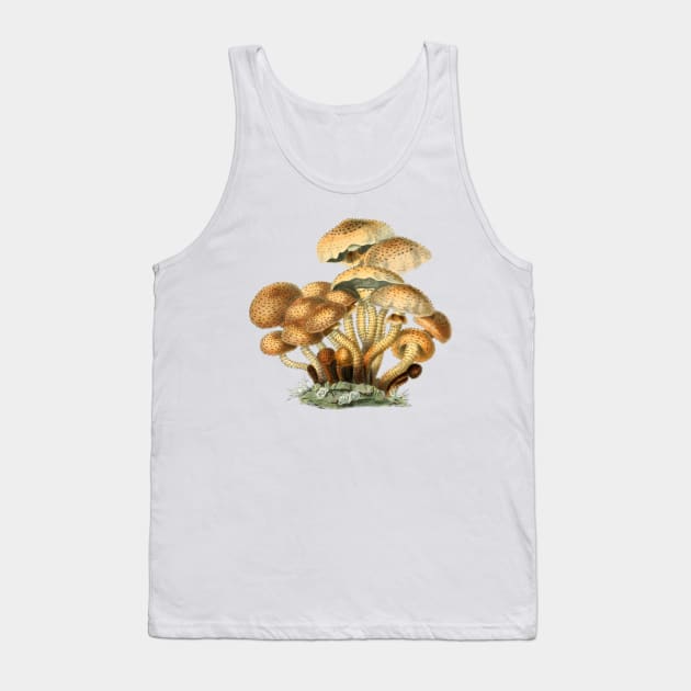 Shaggy Scaly Cap Mushroom Vintage Mycology Painting Tank Top by MoPaws